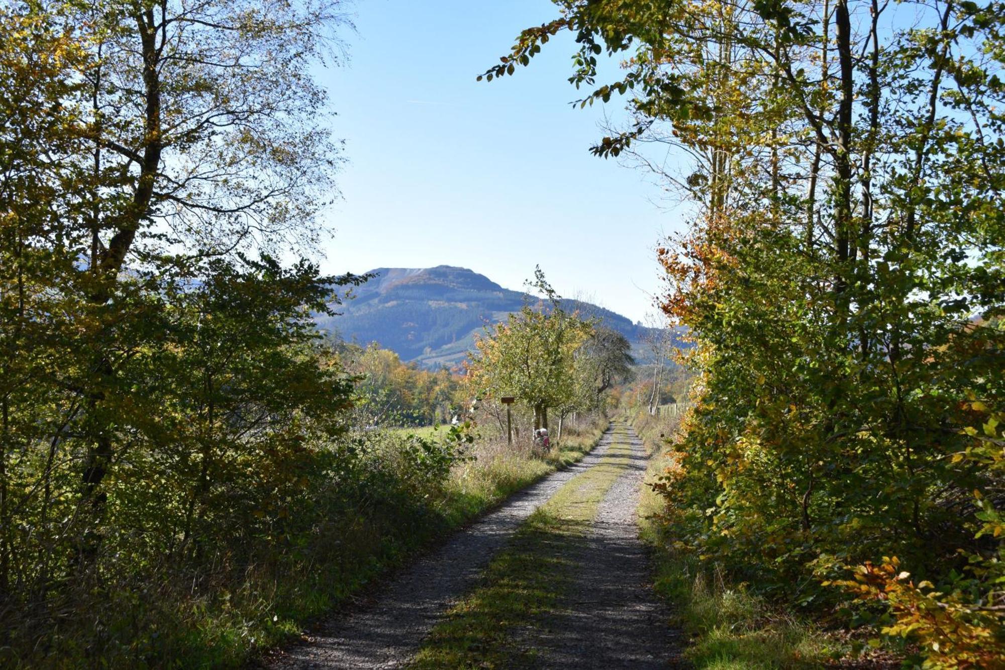 Ferienwohnung Panoramablick Olsberg Bagian luar foto