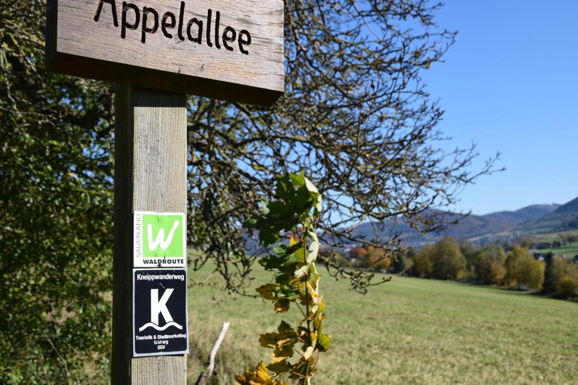 Ferienwohnung Panoramablick Olsberg Bagian luar foto