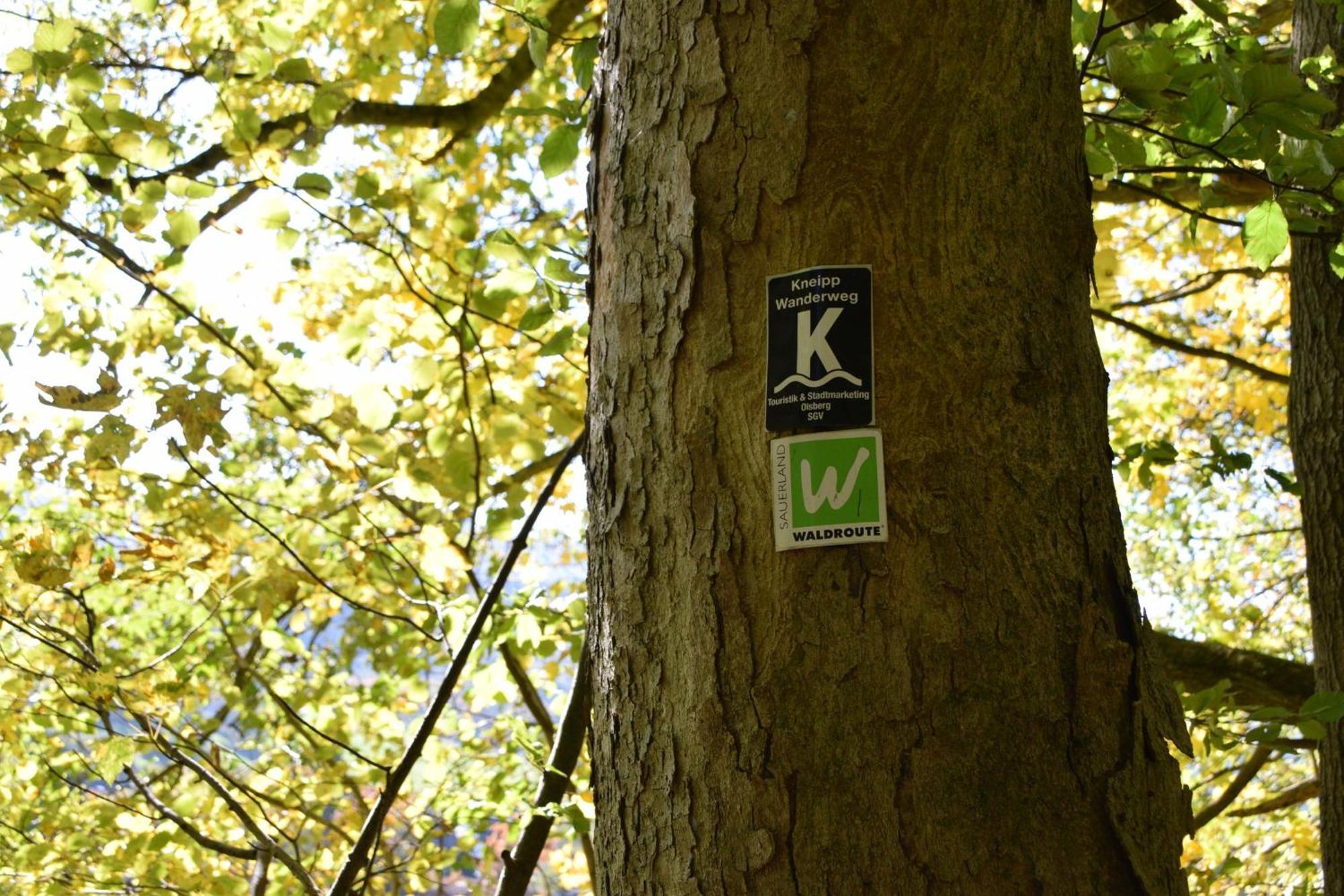 Ferienwohnung Panoramablick Olsberg Bagian luar foto